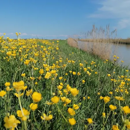 דירה Maranghetto