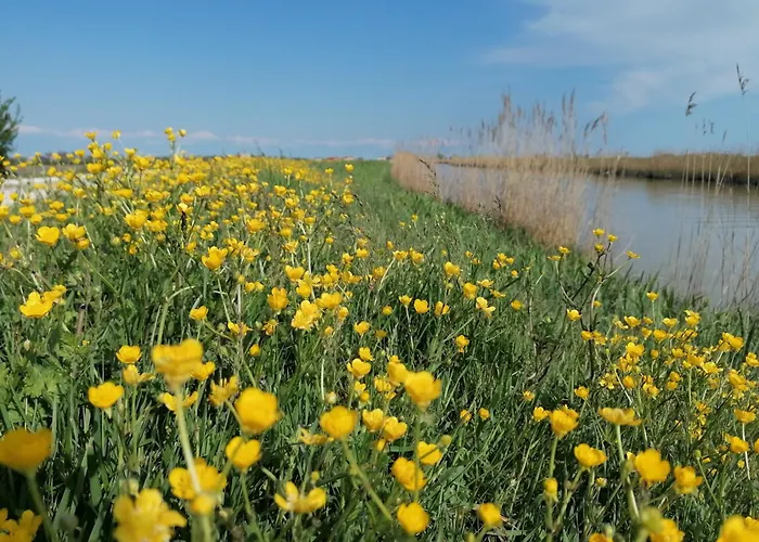 Lejlighed Maranghetto